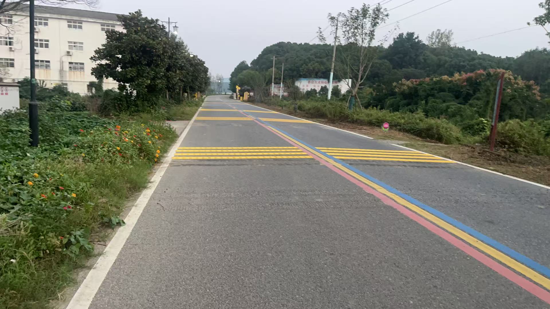 标线系列
